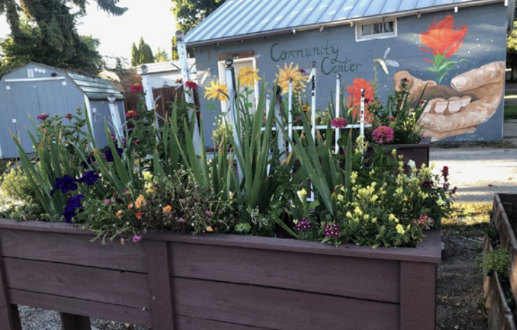 Flowers in a garden are part of comprehensive community development.